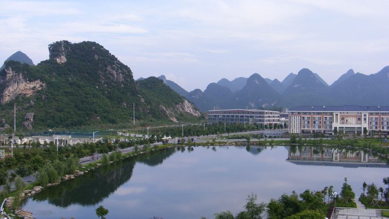 深圳电子科技公司代理政策：揭秘背后的逻辑与考量